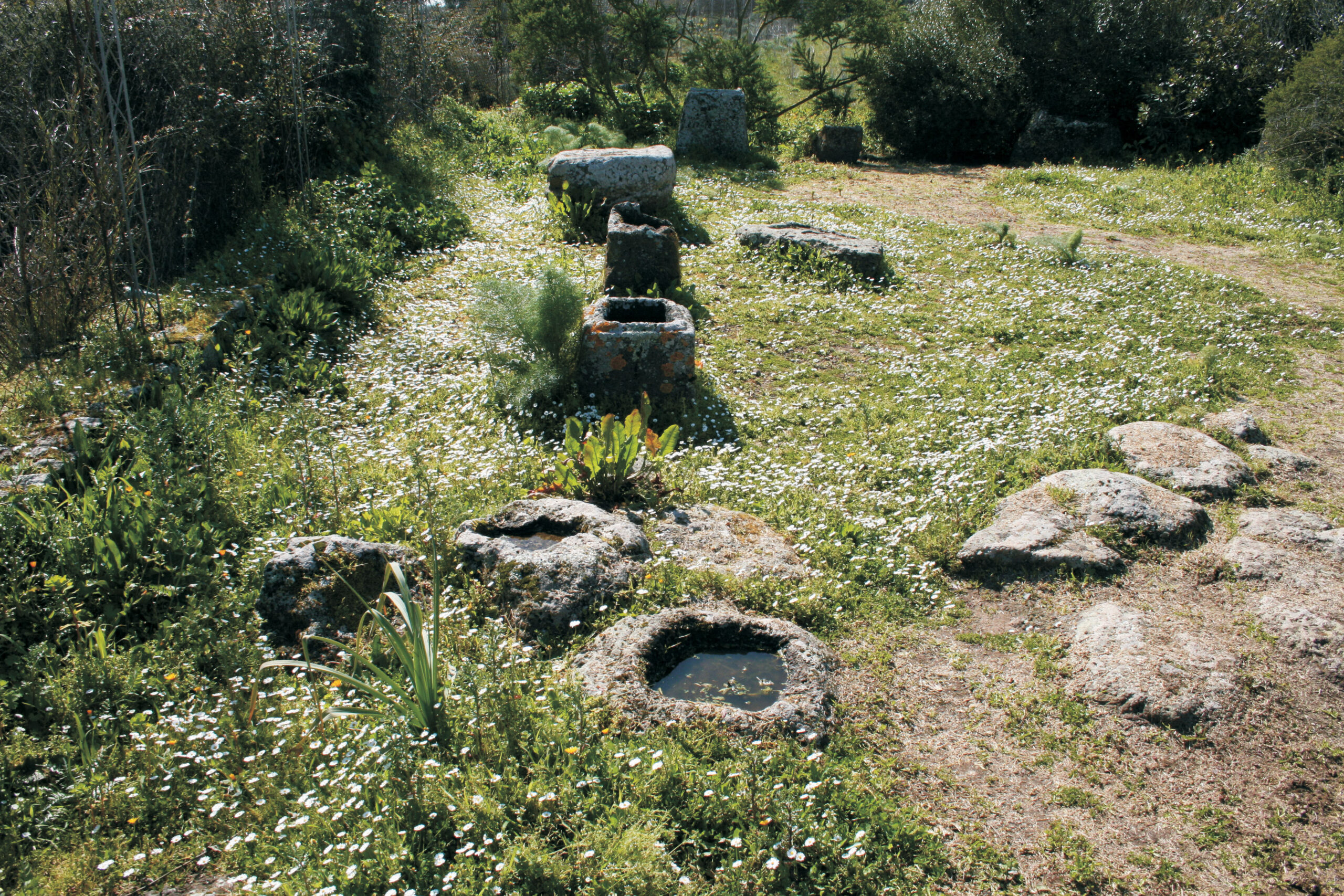 02 / LA NECROPOLI A INCINERAZIONE