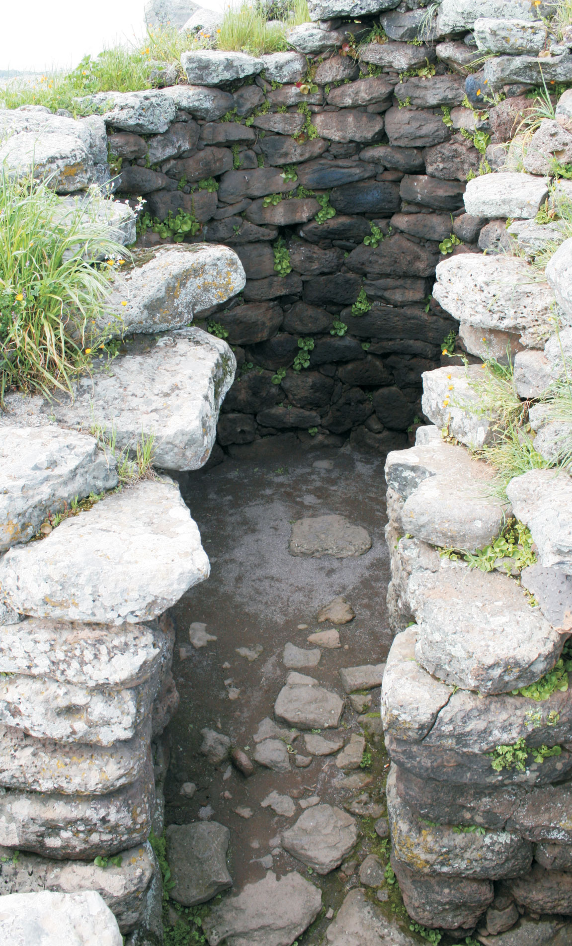 08 / LA TORRE CENTRALE