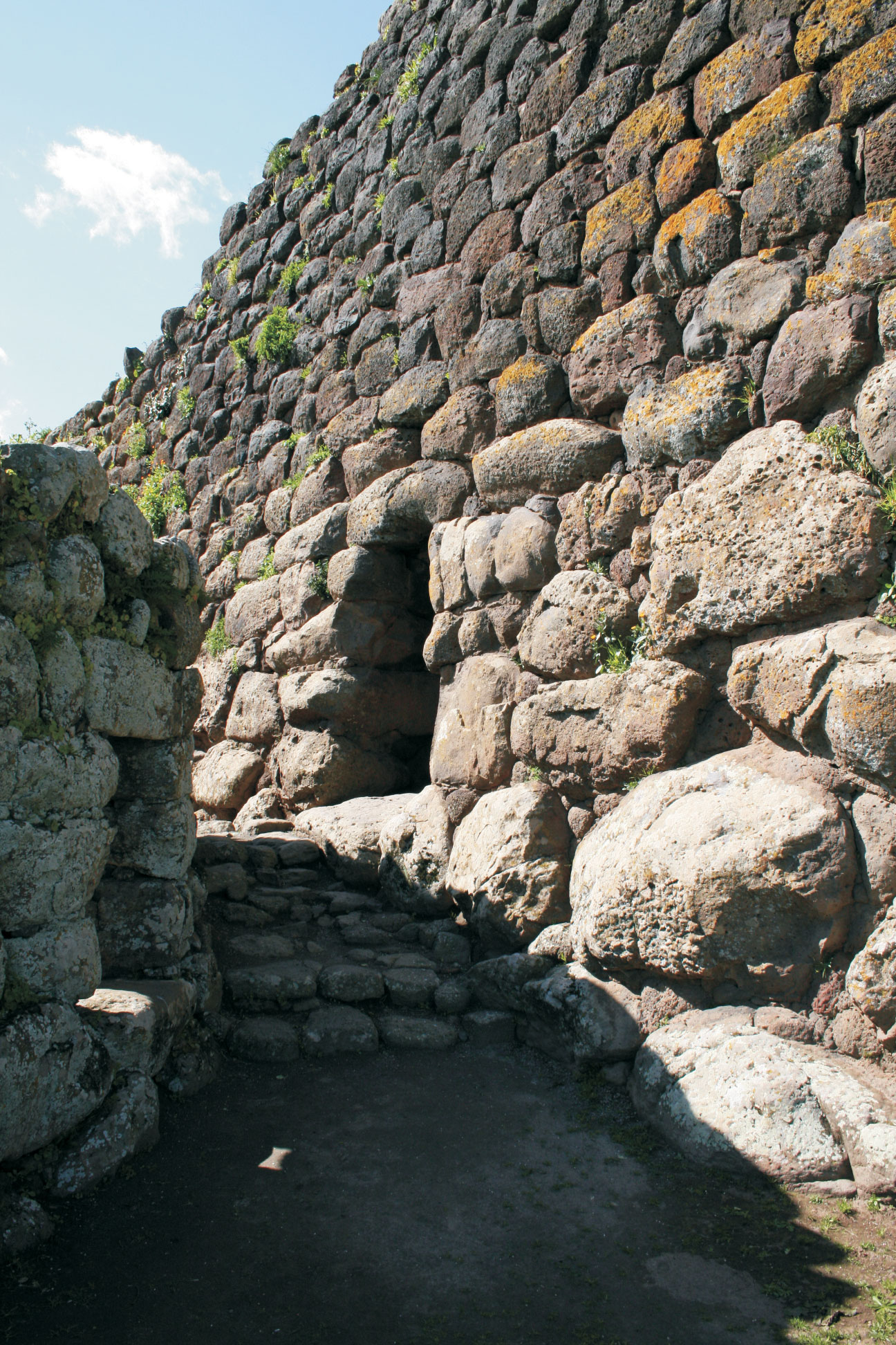 09 / IL BASTIONE TRILOBATO