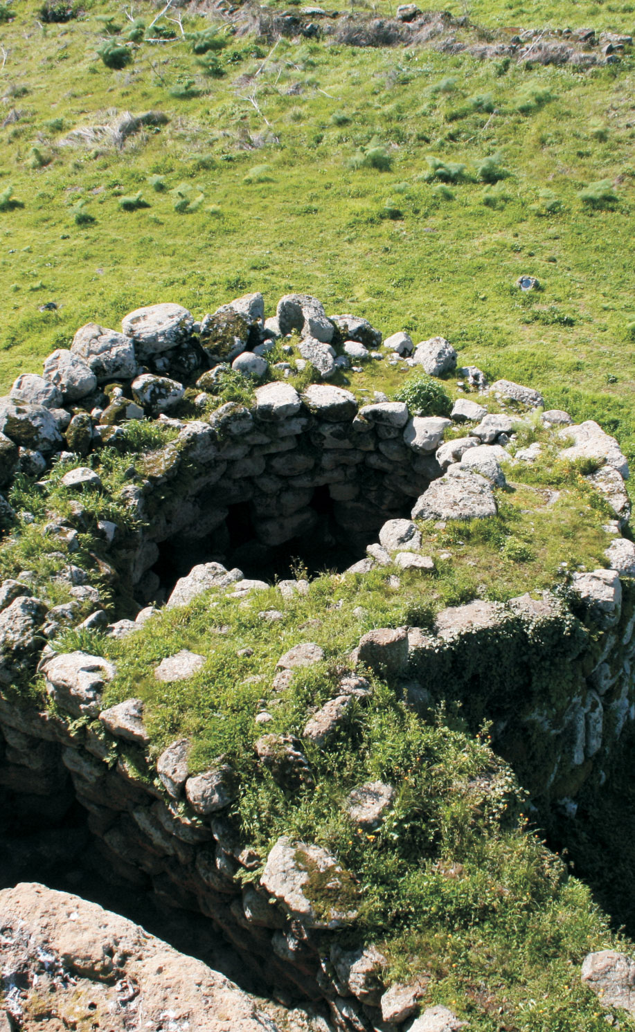 10 / L’ANTEMURALE E IL CORTILE POSTERIORE